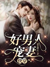 好男人宠妻 快穿顾北