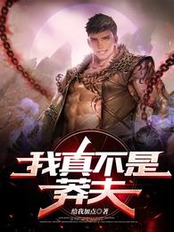 我真不是莽夫给我加点